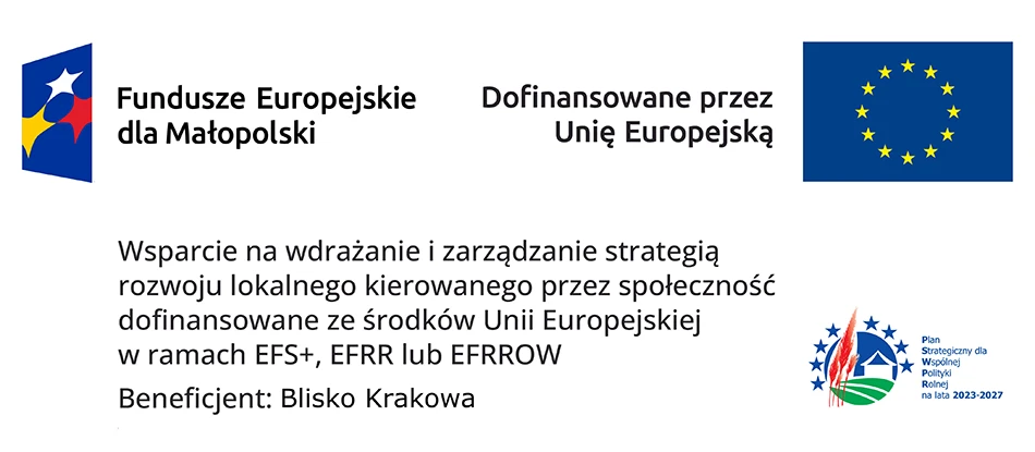 Dofinansowane przez Unię Europejską